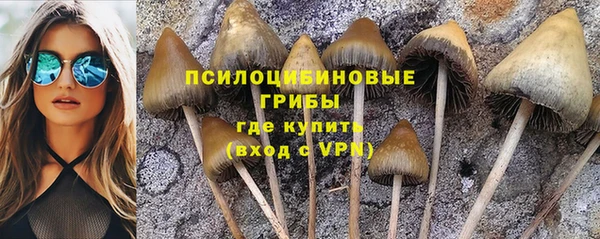 скорость Богданович