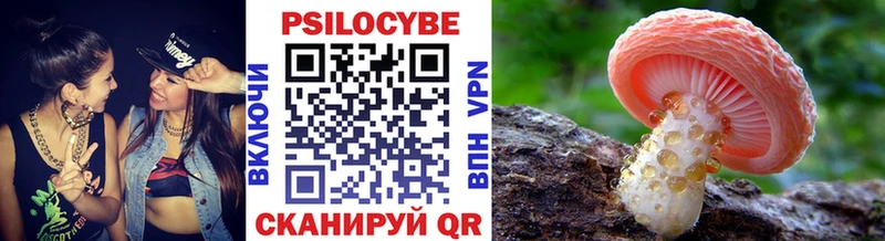 Галлюциногенные грибы Psilocybine cubensis  Раменское 