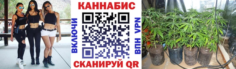 Шишки марихуана Bruce Banner Раменское